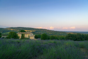 Les Basses Combes, Provence