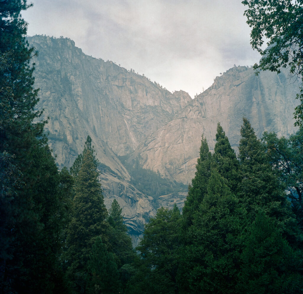Yosemite on Portra film, Half Dome, kodak, negative, Negative Lab, photography, portra, Yashica, Yashica-Mat, Yosemite