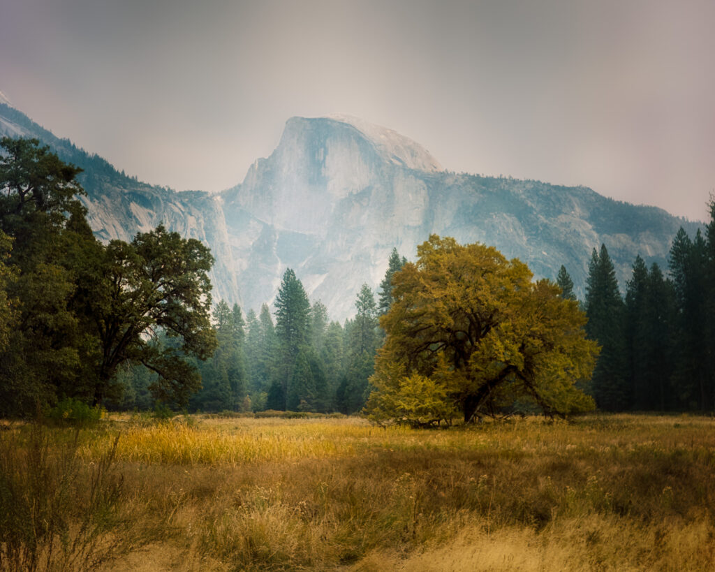 Yosemite on Portra film, Half Dome, kodak, negative, Negative Lab, photography, portra, Yashica, Yashica-Mat, Yosemite